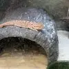 Bryan Craddock - @bryan.craddock1 - TikTok