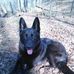 Bryan Crago - Facebook