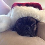 Brian Cramer - @cramer2209 - Instagram