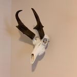 Brian Cramer - @briancramer509 - Instagram