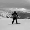 bryancrowner - @bryan.crowner - TikTok