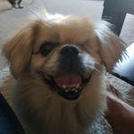 Brian Creighton - @brian.creighton.77 - Instagram