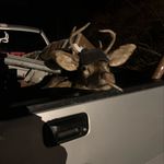 Brian Cremeans - @brian_andrew_cremeans - Instagram