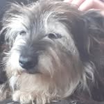 Brian - @briancremin463 - Instagram