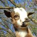 Brian Cress - Facebook