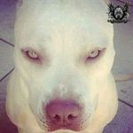 Brian Cress - @cressbrian76 - Instagram