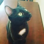 Brian Crew - @briancrew6 - Instagram