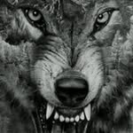 Bryan Crigger - @criggerbryan - Instagram
