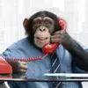 Brian Crim - @brian.crim3 - TikTok