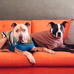 Brian Crim - @vintagebrian - Instagram
