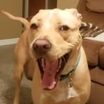 Brian Crim - @beatngu2007 - Instagram