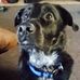 Brian Crippen - Facebook