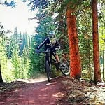 Brian Cristman - @llloydchristmas1 - Instagram