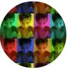 briancroce - @briancroce - TikTok