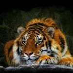Brian Croft - @croftbrian65 - Instagram