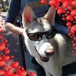 Brian Cron-Howell - @bc_mh - Instagram