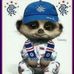 Brian Crookston - Facebook
