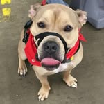 Brian William Cropper - @cropperbrian - Instagram