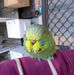 Brian Crosbie - Facebook