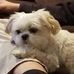 Brian Crossfield - Facebook