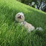 Brian Crossfield - @briancrossfield - Instagram
