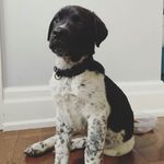 Jasper Brannigan-Crossfield - @jaspers.point - Instagram