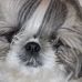 Brian Crow - Facebook