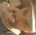 Brian Croy - Facebook