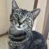 Brian Cryin - @brian.cryin - TikTok