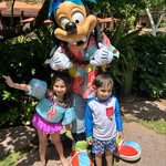 @brian_crystal_hawaii - Instagram