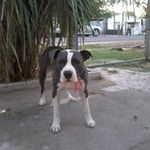 Brian Cuadra - @b_cuadra - Instagram