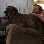 Brian Cuff - @bfcuff74 - Instagram