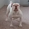 brianculbert0 - @brianculbert0 - TikTok