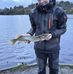 Brian Cullen - Facebook