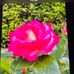 Brian Culp - Facebook