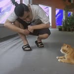 bczy - @briancult - Instagram