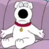 Brian _Griffin_ cult - @brian_griffin_cult - TikTok