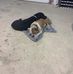 Brian Cummings - Facebook