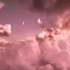 Bri - @briannacurless - TikTok
