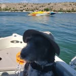 Brian Cusack - @cusack20 - Instagram