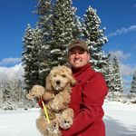 Brian Cushard - @bcushard - Instagram