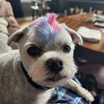 Brian Cushman - @bubbacush - Instagram