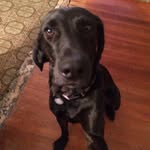 Brian86custer - @briancuster - Instagram