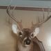 Bryan Custer - Facebook