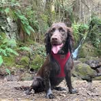 Brian Cuthbert-Imrie - Facebook