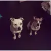 briancutler971 - @briancutler971 - TikTok