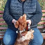 Bryan Cuvelier - Facebook