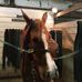 Brian Culver - Facebook