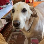 Cuyler Brine - @cuylerbrine - Instagram