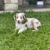 Brian Cypert - @brian.cypert - TikTok